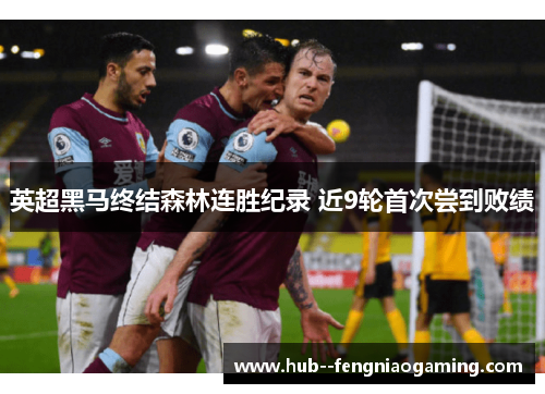 英超黑马终结森林连胜纪录 近9轮首次尝到败绩 英超黑马终结森林连胜纪录 近9轮首次尝到败绩