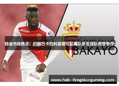 转会市场焦点:约翰巴卡约科夏窗可能离队多支球队有意争夺 转会市场焦点:约翰巴卡约科夏窗可能离队多支球队有意争夺