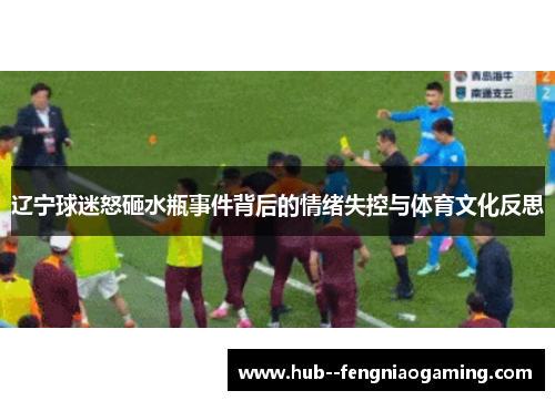 辽宁球迷怒砸水瓶事件背后的情绪失控与体育文化反思