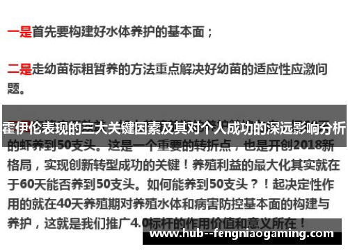 霍伊伦表现的三大关键因素及其对个人成功的深远影响分析