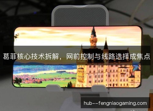 葛菲核心技术拆解，网前控制与线路选择成焦点